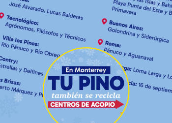 Reciclaje-de-pinos-navideños-en-centros-de-acopio-para-cuidar-el-medio-ambiente - Cambiando Mty