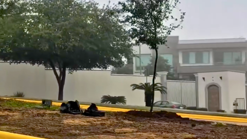 Camellón De Sevilla Con Los Nuevos 26 árboles Que Vecinos De Monterrey