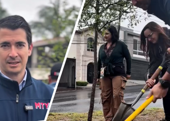 Marcelo Segovia Planta 26 árboles Nuevos Que Los Vecinos De Cumbres 6to Sector Adoptaron - Cambiando Mty