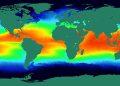 Global map showing sea surface temperatures with a rainbow color scale from blue (cool) to red (warm).